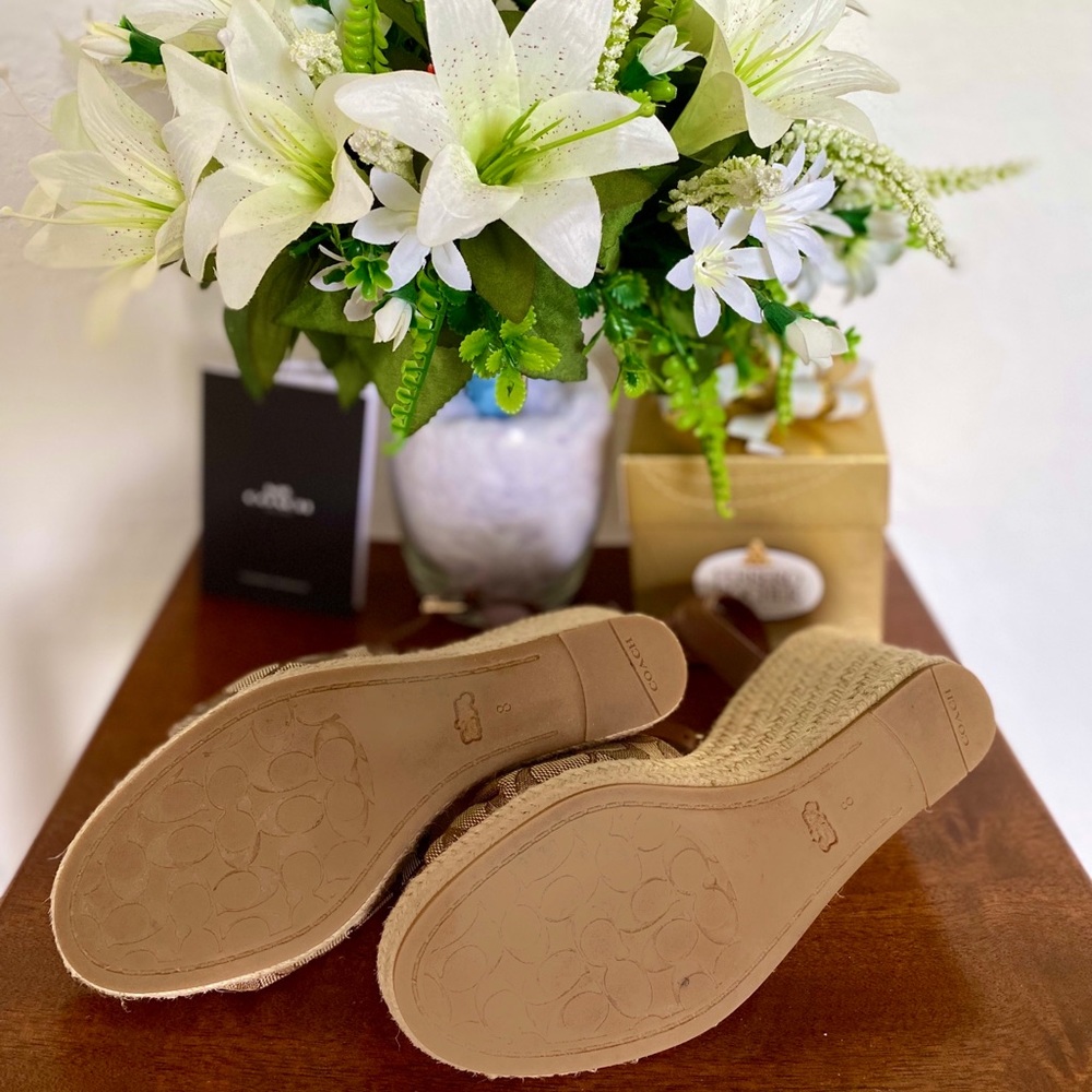 Coach Shoes ✨ - Picture 3 of 5